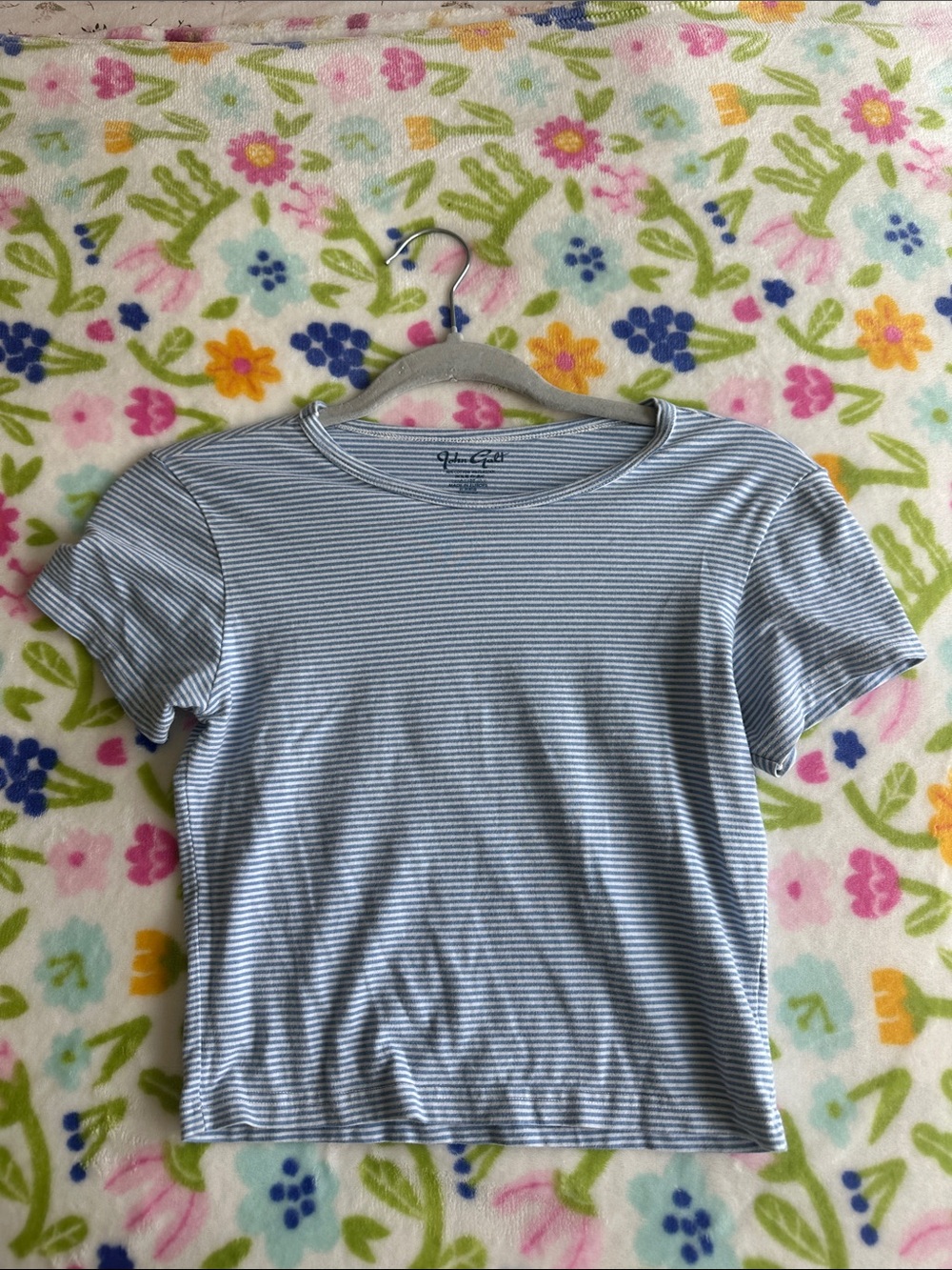 Brandy Melville Blue and White Striped Tee